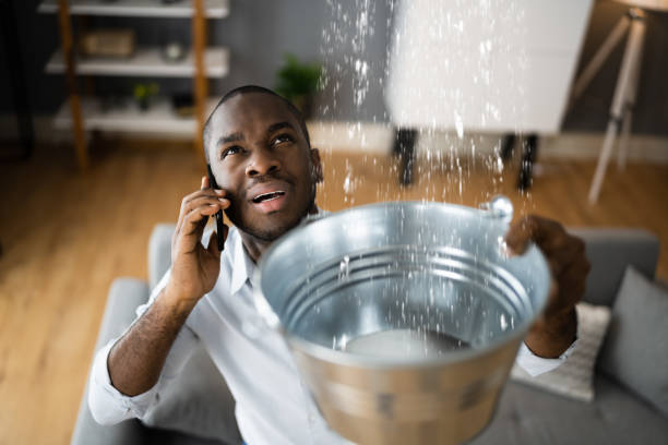 Best Flood restoration services  in Salamanca, NY