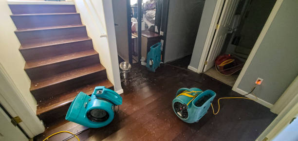 Best Professional water damage repair  in Salamanca, NY