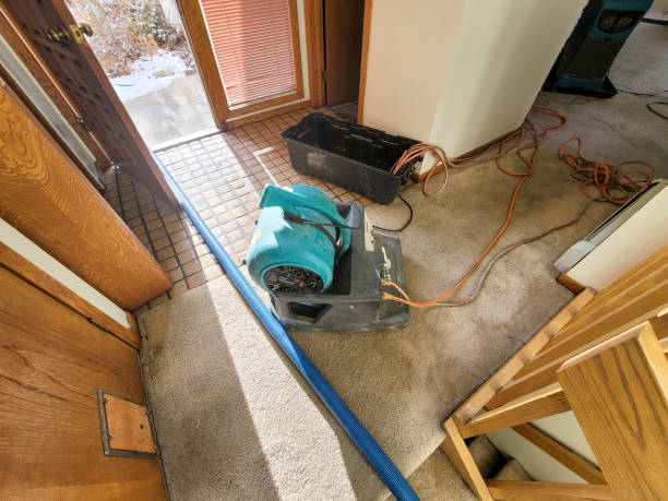 Best Water damage contractors near me  in Salamanca, NY