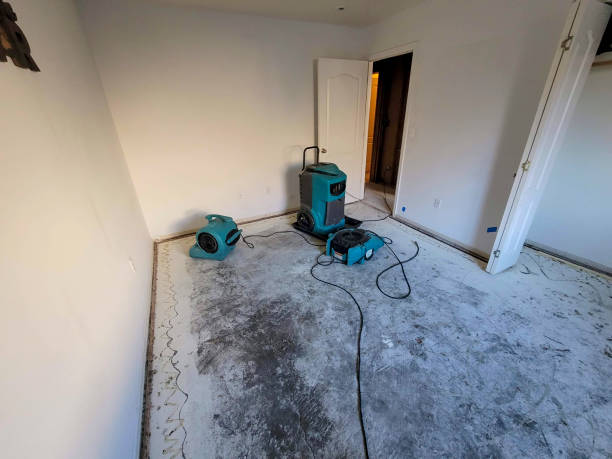 Best Water damage restoration near me  in Salamanca, NY