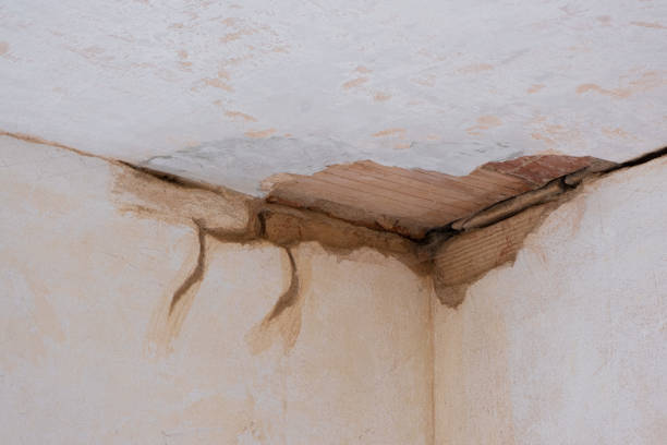 Best Sewage cleanup and water damage restoration  in Salamanca, NY