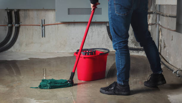 Best Commercial water damage restoration  in Salamanca, NY