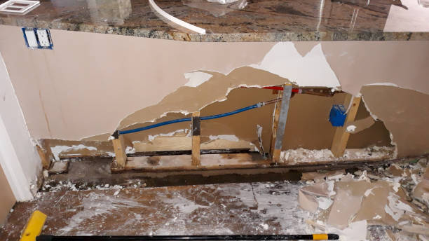 Best Flooded house restoration  in Salamanca, NY