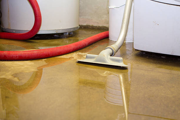 Salamanca, NY Water damage restoration Pros