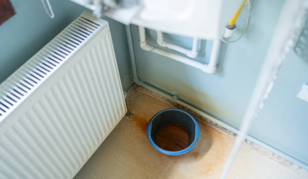 Best Water damage restoration near me  in Salamanca, NY